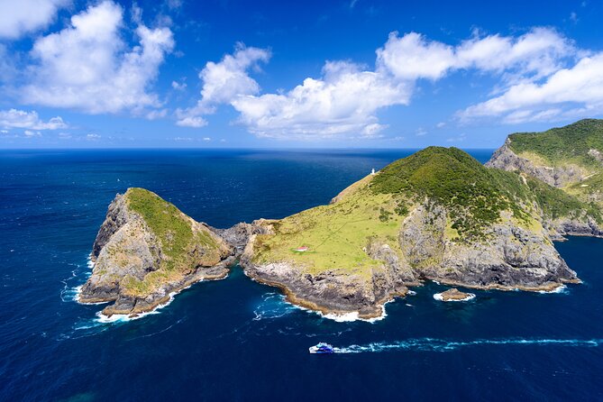 Bay of Islands Explorer Experience Small Group Tour From Auckland - Weather, footing, and who this day trip fits best