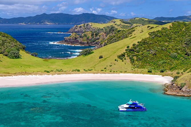 Bay of Islands Explorer Experience Small Group Tour From Auckland - Should you book this Bay of Islands Explorer from Auckland?