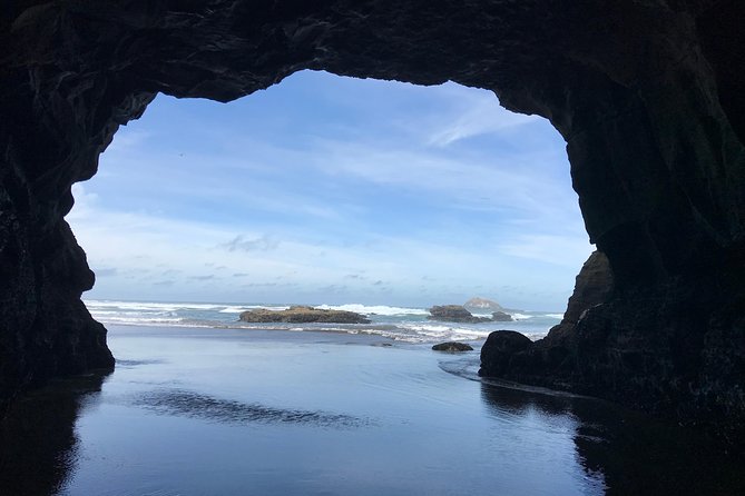 Beautiful Nature Tours Auckland - Private Tour - Rainforest walks and black-sand beaches: how the route plays out