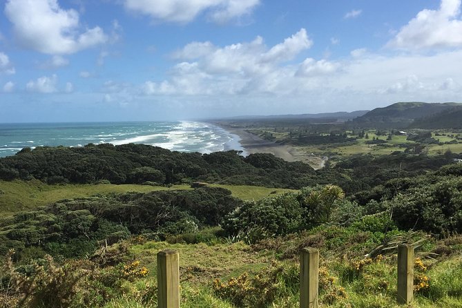Beautiful Nature Tours Auckland - Private Tour - Wildlife spotting: gannets, seals, and dolphin chances