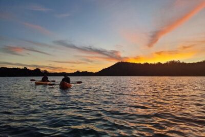 Bioluminescence Kayak Tour - Est. 1994 - Long Bay–Okura Marine Reserve at Night: What the Paddle Feels Like