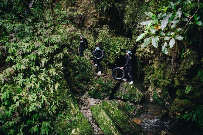 Black Labyrinth: Black Water Rafting - Private Tour from Auckland - Kiwi House and the Night-Enclosure Kiwi Viewing