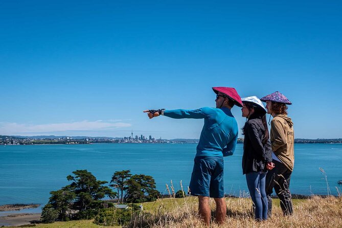 Browns Island Motukorea Sea Kayak Tour - Group Size, Pacing, and the Real Beginner Question