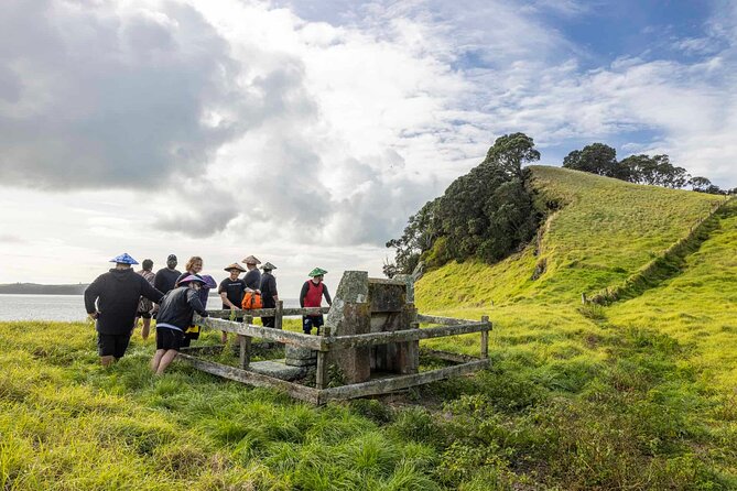 Browns Island Motukorea Sea Kayak Tour - Wildlife and Nature Notes: What You Can Actually Look For