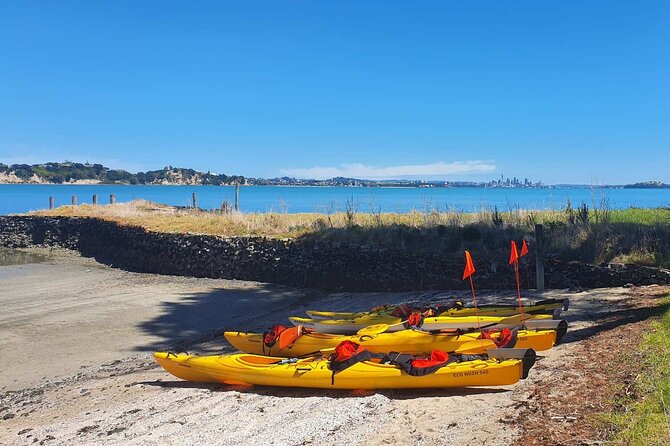 Browns Island Motukorea Sea Kayak Tour - Stop 1: St Heliers to the Hauraki Gulf Views (About 1 Hour)