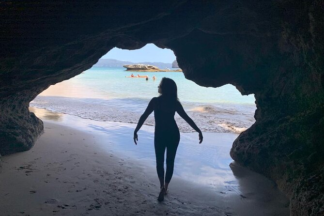 Cathedral Cove and Hot Water Beach Scenic Day Tour from Auckland - Hot Water Beach: Dig Your Own Pool From Sand and Heat