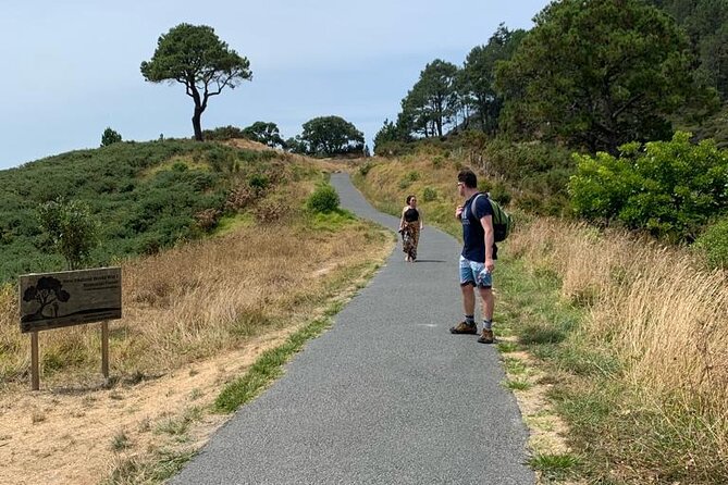 Cathedral Cove and Hot Water Beach Scenic Day Tour from Auckland - Price and Value: Is $372.34 Worth It?