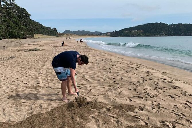 Cathedral Cove and Hot Water Beach Scenic Day Tour from Auckland - Who This Tour Suits Best (And Who Should Think Twice)