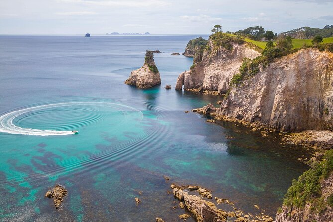 Cathedral Cove & Coromandel, Small-Group Tour from Auckland - Getting To the Start Line: Pickup, Minibus Comfort, and What You Really Get