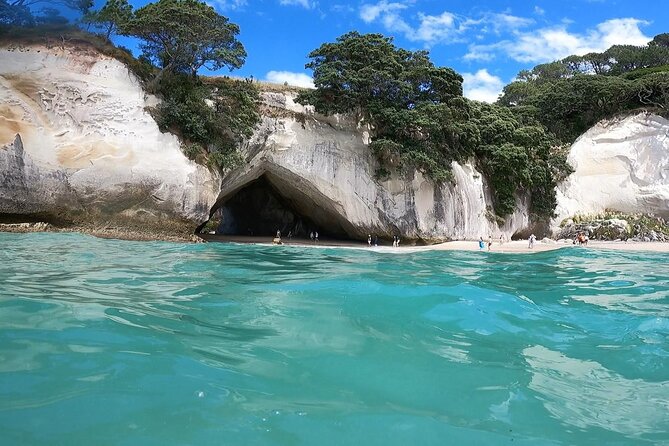 Cathedral Cove & Coromandel, Small-Group Tour from Auckland - Price and Value: Is $164.45 a Good Deal for Coromandel?