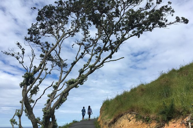 Cathedral Cove Day Trip from Auckland - Key Highlights at a Glance