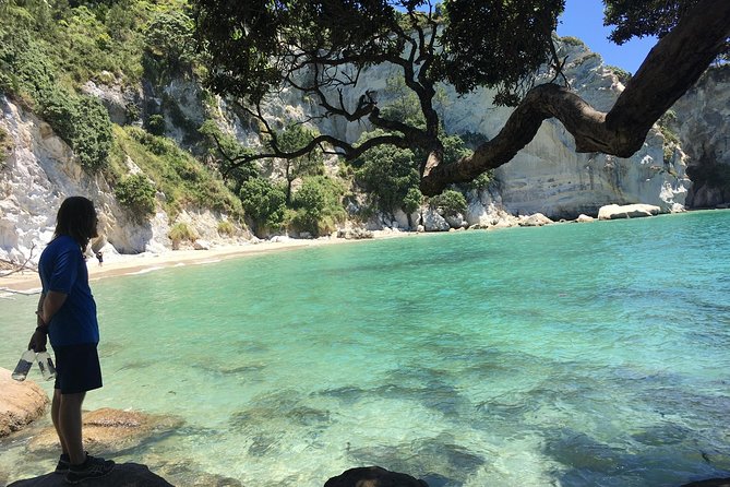 Cathedral Cove Day Trip from Auckland - Price and What You’re Really Paying For