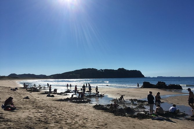 Cathedral Cove Day Trip from Auckland - Stop 2: Cathedral Cove Walk to White Cliffs and Soft Sand