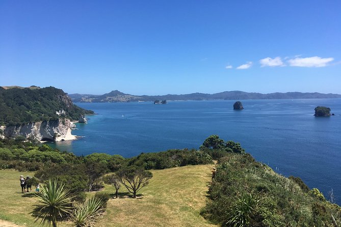 Cathedral Cove Day Trip from Auckland - Stop 3: Mount Paku’s Short Hike to an Extinct Volcano Viewpoint