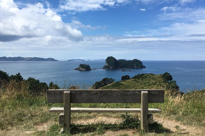 Cathedral Cove Day Trip from Auckland - Guided Commentary: Why It Makes the Whole Day Feel Longer (In a Good Way)