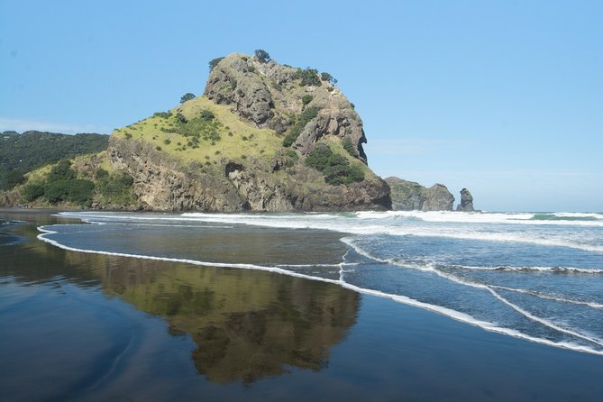 Coast and Rainforest Eco-Tour from Auckland with Picnic Lunch - Key takeaways before you go