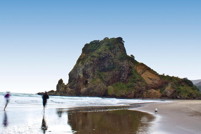 Coast and Rainforest Eco-Tour from Auckland with Picnic Lunch - Mercer Bay Loop: Clifftop Walking With Real Stair Effort