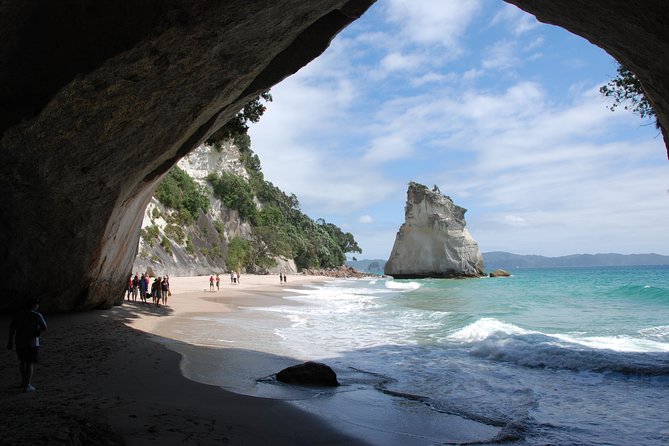 Coromandel Coastal Experience - Small Group Tour from Auckland - Auckland to the Coromandel coast: why this day trip works