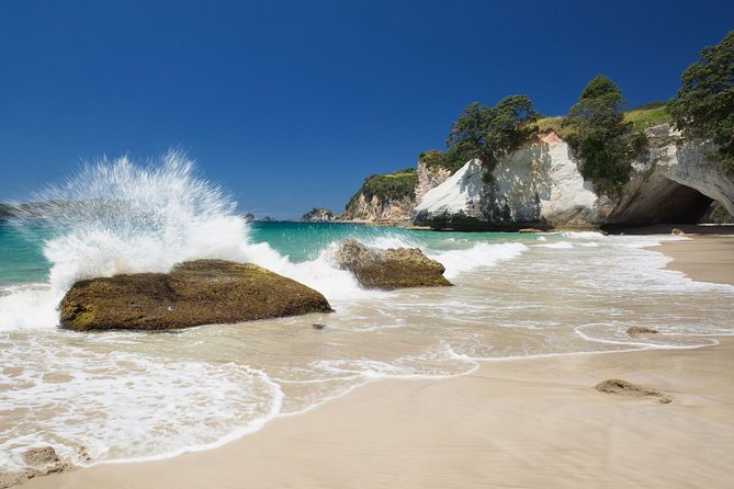 Coromandel Coastal Experience - Small Group Tour from Auckland - The drive and the small-group rhythm around the Firth of Thames