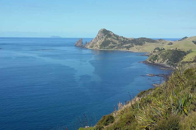 Coromandel Coastal Experience - Small Group Tour from Auckland - What’s included (and what you’ll need to budget for)