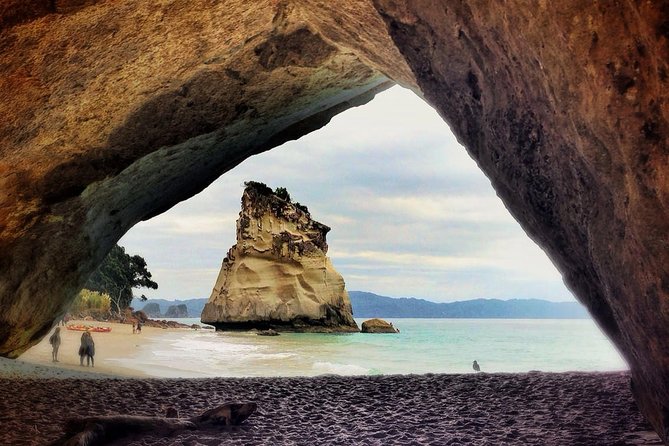 Coromandel Coastal Experience - Small Group Tour from Auckland - Price and logistics: what value looks like here