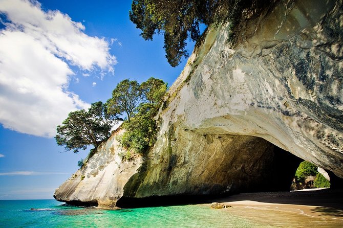 Coromandel Coastal Experience - Small Group Tour from Auckland - Hot Water Beach: digging your own thermal bath (and why low tide matters)