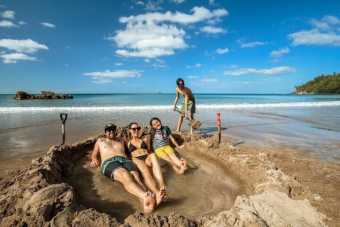 Coromandel Day Tour From Auckland - Key highlights you’ll feel right away