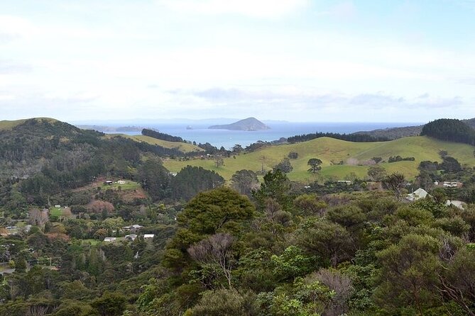 Coromandel Day Tour From Auckland - Getting the most out of a 12-hour loop