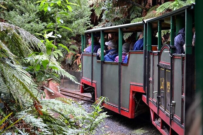 Coromandel Day Tour From Auckland - Should you book the Coromandel Day Tour from Auckland?