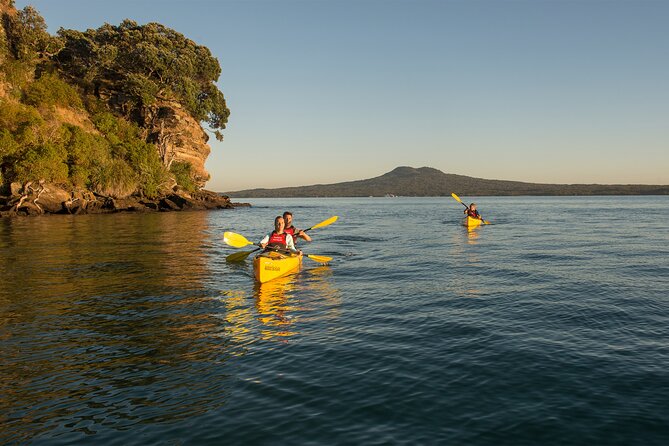 Day sea kayak tour Rangitoto Island - Key things I’d note before you book