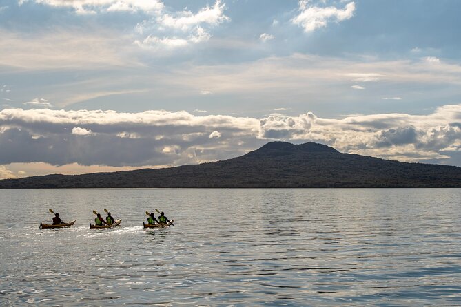 Day sea kayak tour Rangitoto Island - Kiwi BBQ on the island: the meal that makes the return paddle easier
