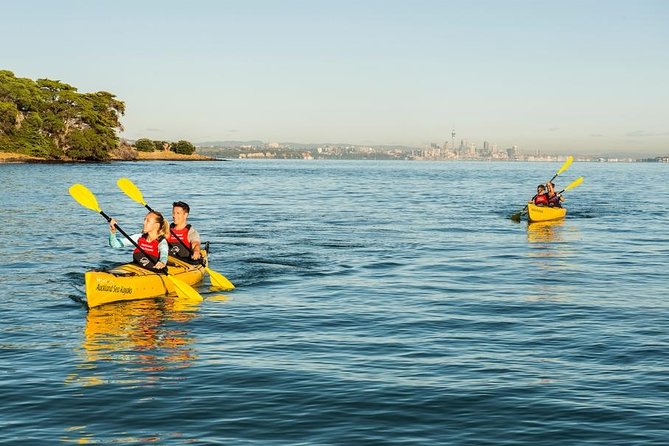 Day sea kayak tour Rangitoto Island - Wildlife spotting: penguins and seabirds, plus quiet moments
