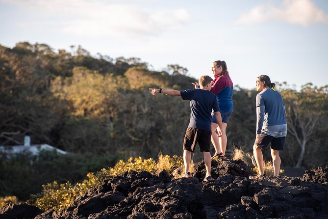 Day sea kayak tour Rangitoto Island - Pickup, timing, and the pest-free gear ritual (don’t skip this)