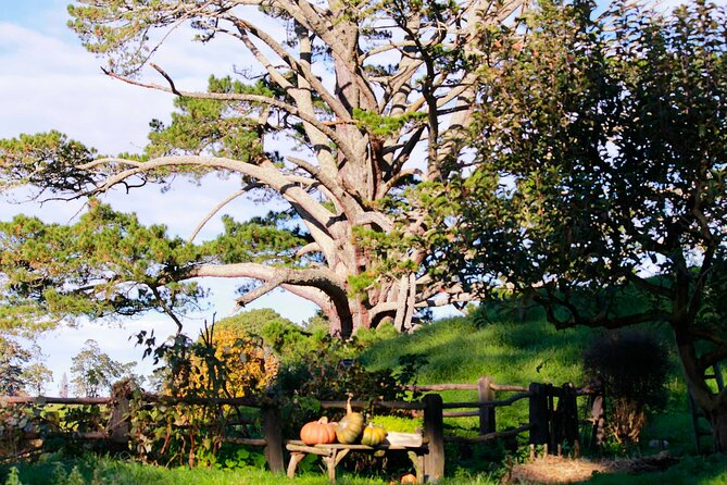 Day Tour Hobbiton + Rotorua from Auckland in Luxury Minibus - Lake Rotorua sightseeing: short stop, quick context