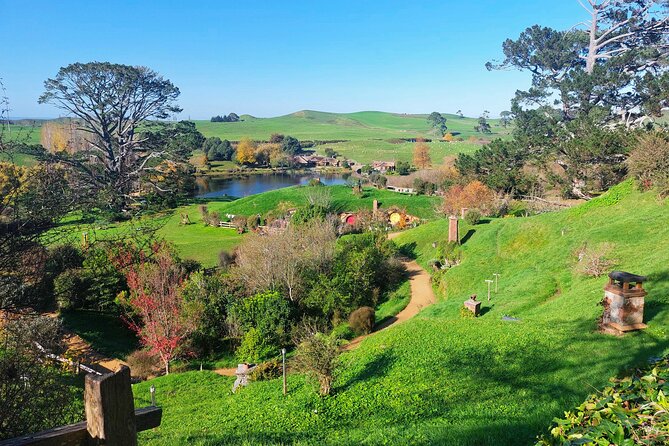Day Tour Hobbiton + Rotorua from Auckland in Luxury Minibus - Price and logistics: what $312.77 really includes