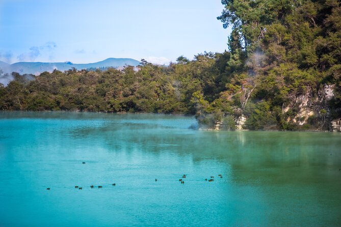 Devil's Bath Experience - Private Tour to Wai-O-Tapu & Lake Taupo - Huka Honey Hive: the tastings that turn a long day into a fun one