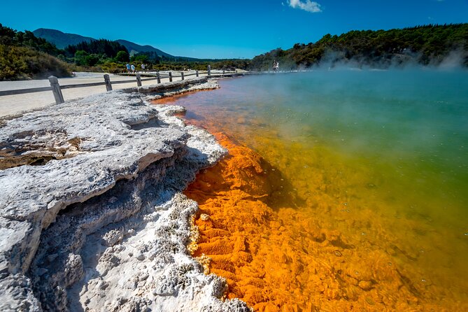 Devil's Bath Experience - Private Tour to Wai-O-Tapu & Lake Taupo - Transportation comfort and the human factor: Karthik’s calm, fun approach