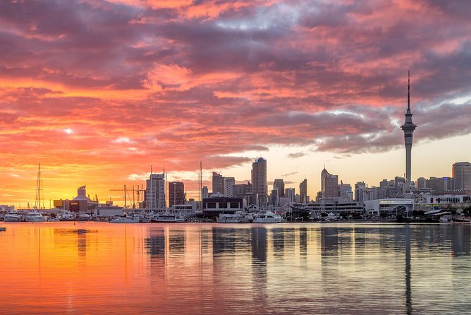 Discover Auckland City Tour: The City of Sails - MJ Savage Memorial Park: Māori Culture and Photo-Ready Views