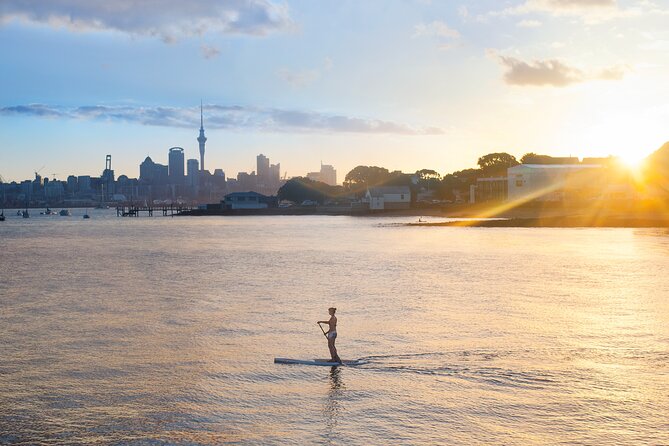 Discover Auckland City Tour: The City of Sails - Along the Waterfront and Harbour Bridge: Where Auckland Starts to Make Sense