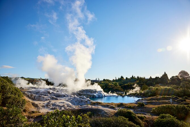 Ex Auckland: Rotorua Māori Village with Haka and Hot Springs - Who should book this tour, and who might not love it