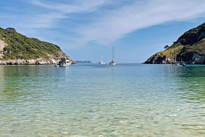 Exclusive Sailing Charter from Waiheke Island - Key takeaways before you book