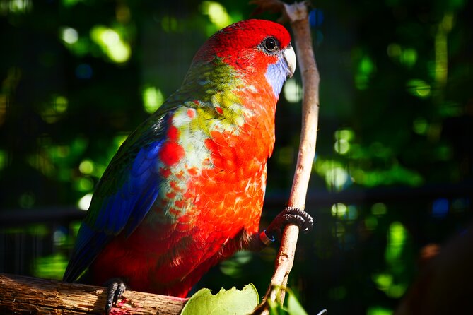 Explore gardens & galleries filled with incredible art, Matakana - Outdoor sculpture gardens: quirky finds for all ages