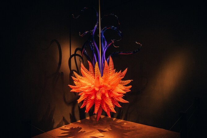 Explore gardens & galleries filled with incredible art, Matakana - Price and value: what you’re actually getting for $40