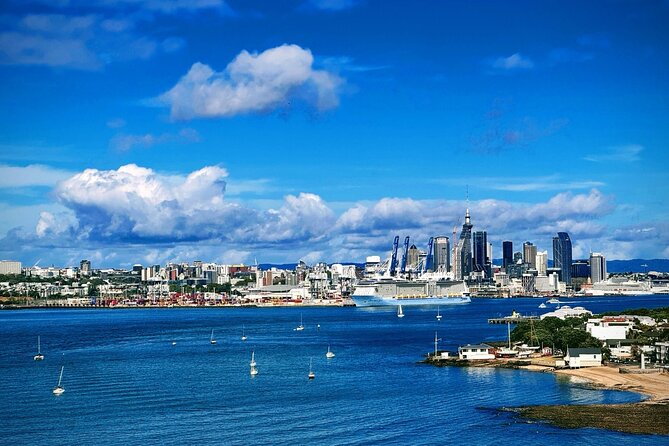 Explore West Auckland with Winery - Price and Value: Is $217.20 Worth It?