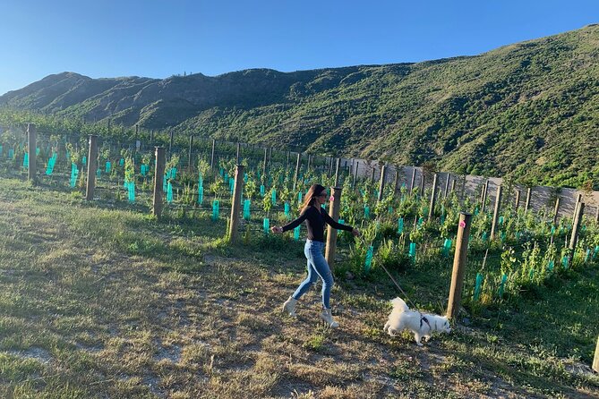 Flavours of Waiheke, wine, beer, spirits INCLUDES lunch - MAX 11 - Batch Winery lunch: award-winning restaurant with magnificent views