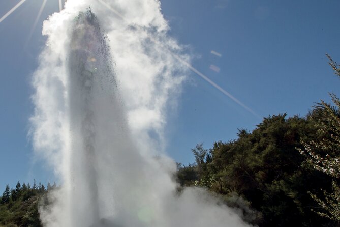 From Auckand: Waiotapu and Polynesian Spa Rotorua Day Tour - Should you book the Auckland to Rotorua Wai-O-Tapu and Polynesian Spa day tour?