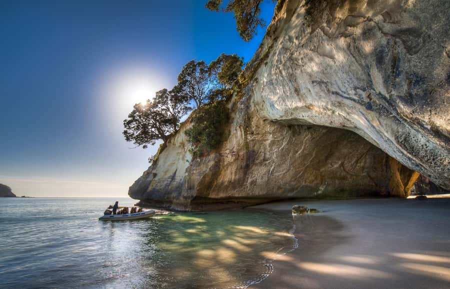 From Auckland: Cathedral Cove & Hot Water Beach Tour - Key Points at a Glance
