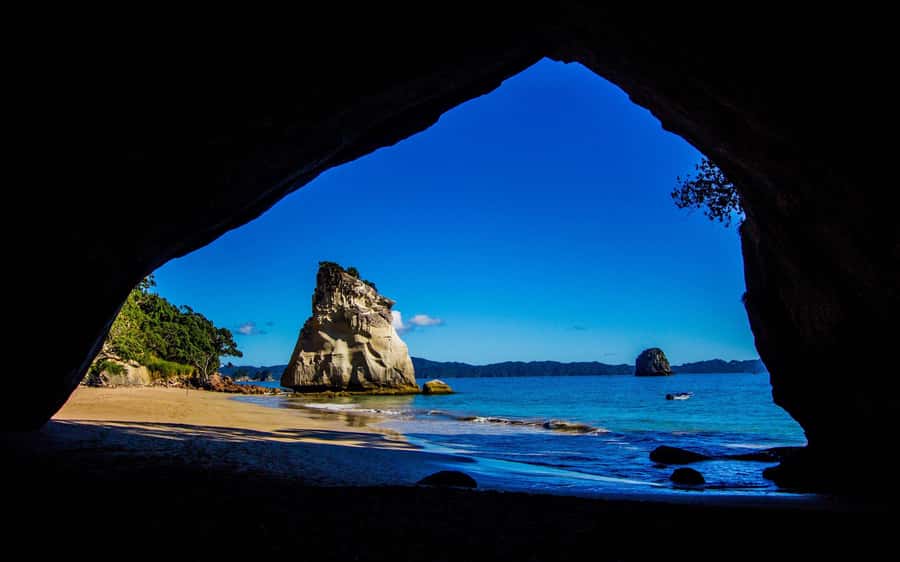 From Auckland: Cathedral Cove & Hot Water Beach Tour - Auckland to Coromandel: Two Icons in One Day