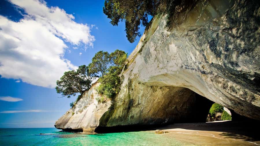 From Auckland: Cathedral Cove & Hot Water Beach Tour - Roadside Views You Don’t Want to Skip