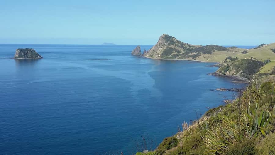 From Auckland: Cathedral Cove & Hot Water Beach Tour - Hot Water Beach: Dig Your Own Sand Spa